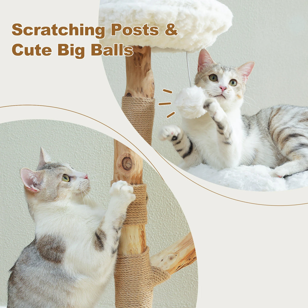 DaisyRise – Dual Perch Cat Tree