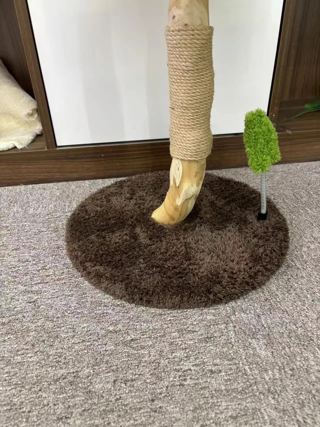 Sunburst – Sunflower Scratcher