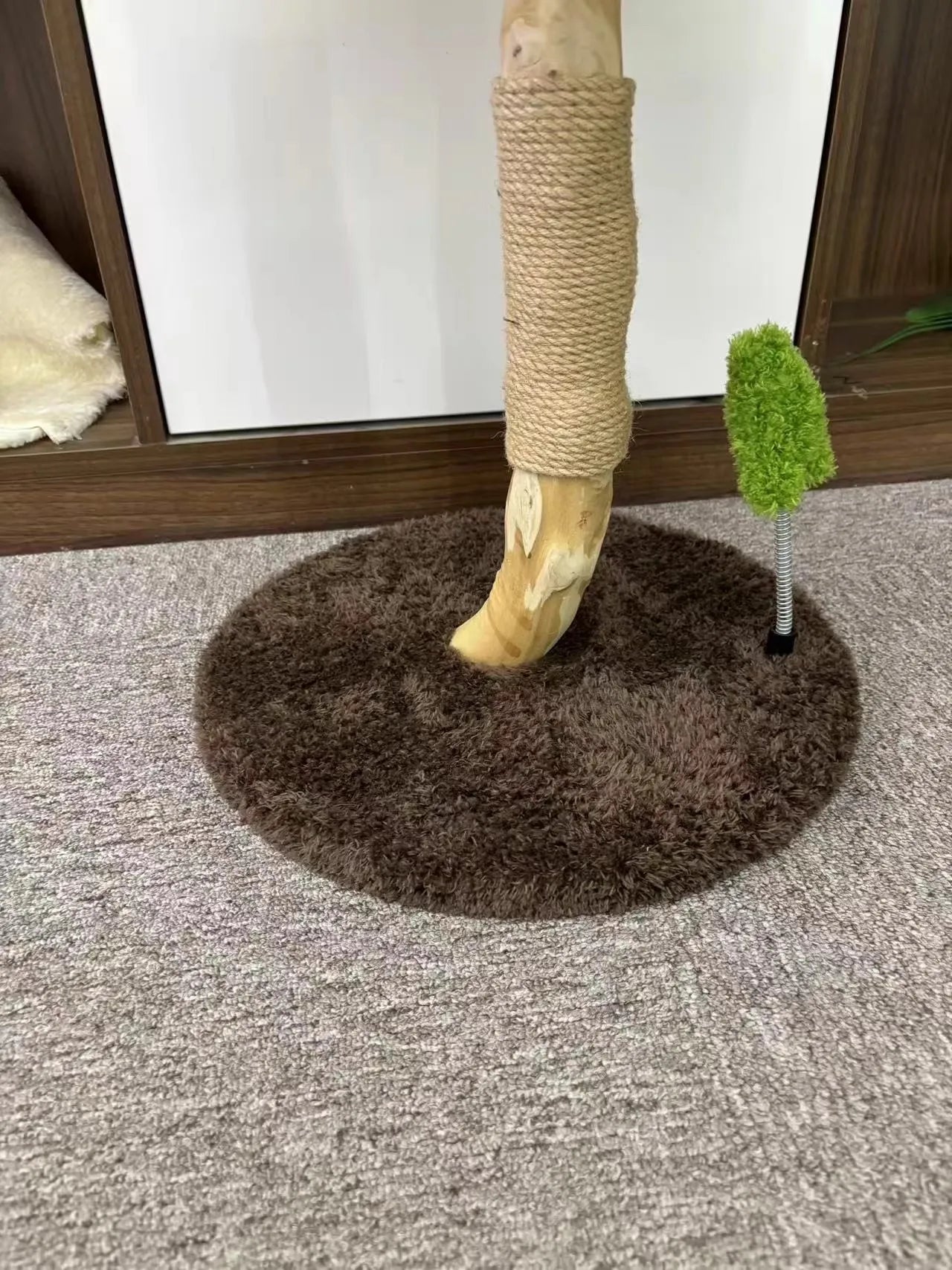 Sunburst – Sunflower Scratcher