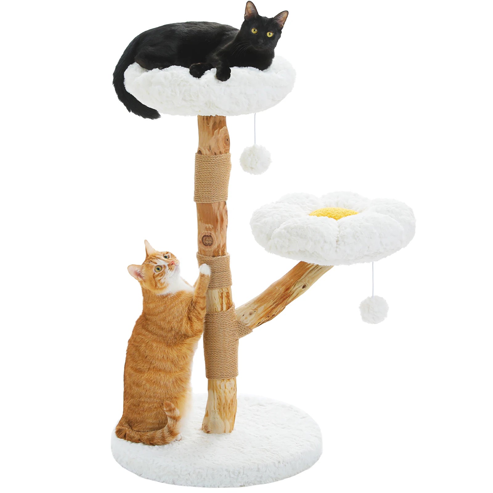 DaisyRise – Dual Perch Cat Tree