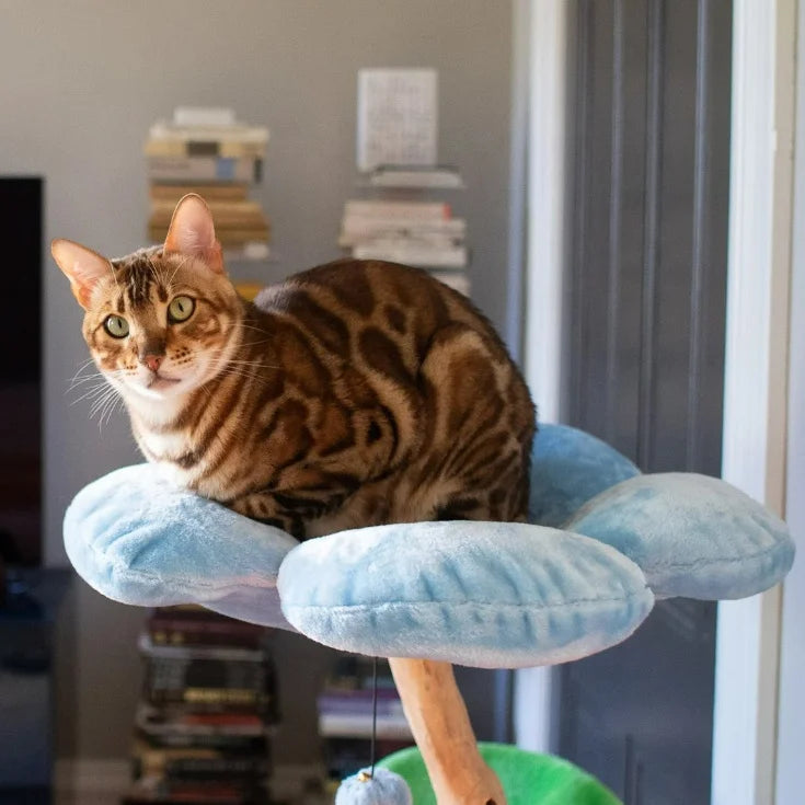 The Climber – Multi-Level Cat Tower