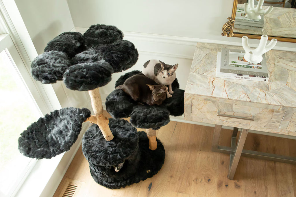 Panther Nest – XL Space Saver